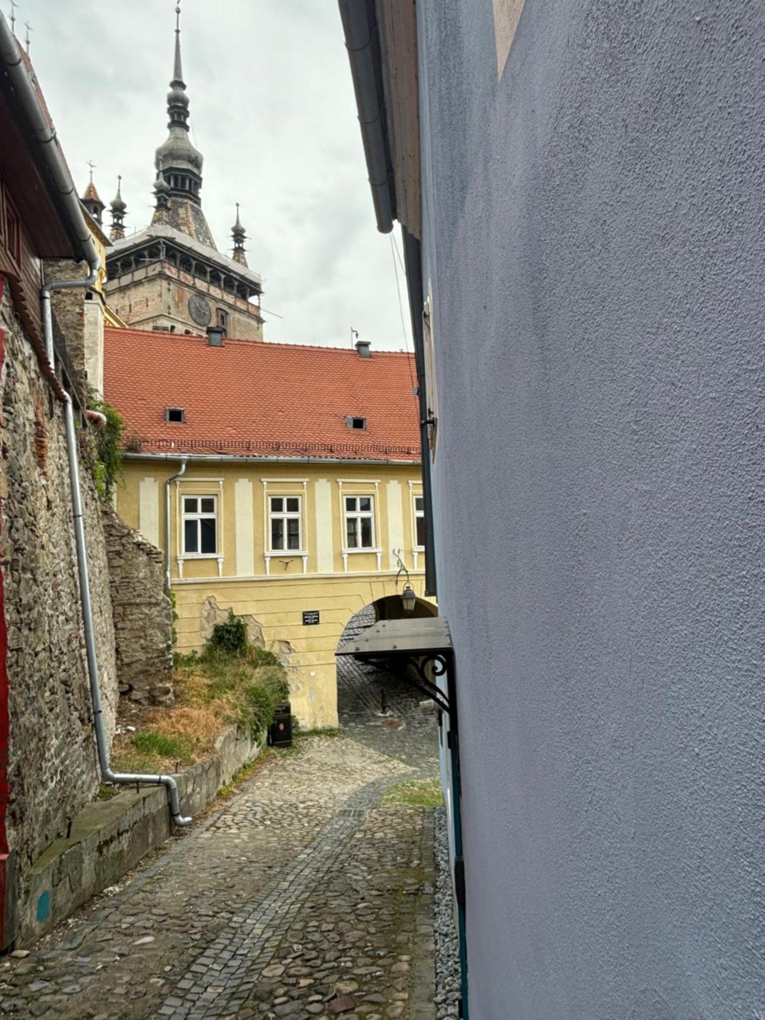 Blue House Citadel Elite Sighisoara Apartment Bagian luar foto